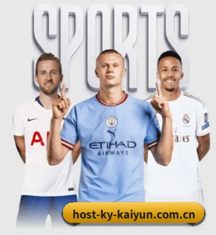 开云kaiyun网站的故事